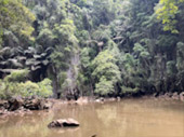 Ao Luek: Laem Sak Tour