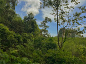 Ao Luek: Laem Sak Tour