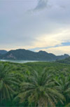 Ao Luek: Laem Sak Tour