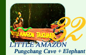 Little Amazon and Pungchang Cave and Elephant Nature Park