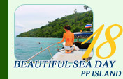 Beautiful Sea Day PP Island