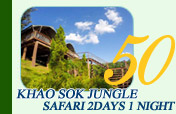 Khaosok Jungle Safari 2 Days 1Night