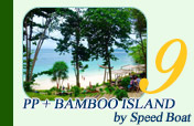 PP Island Maya Bay Bamboo Island